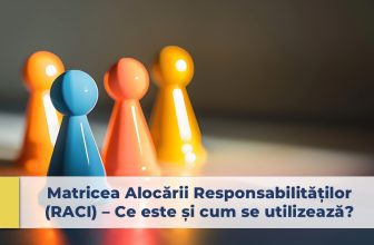 matricea responsabilităților, matricea raci