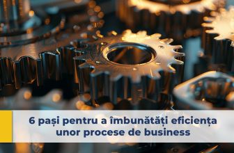 procese de business, performanță financiară, performanța angajaților