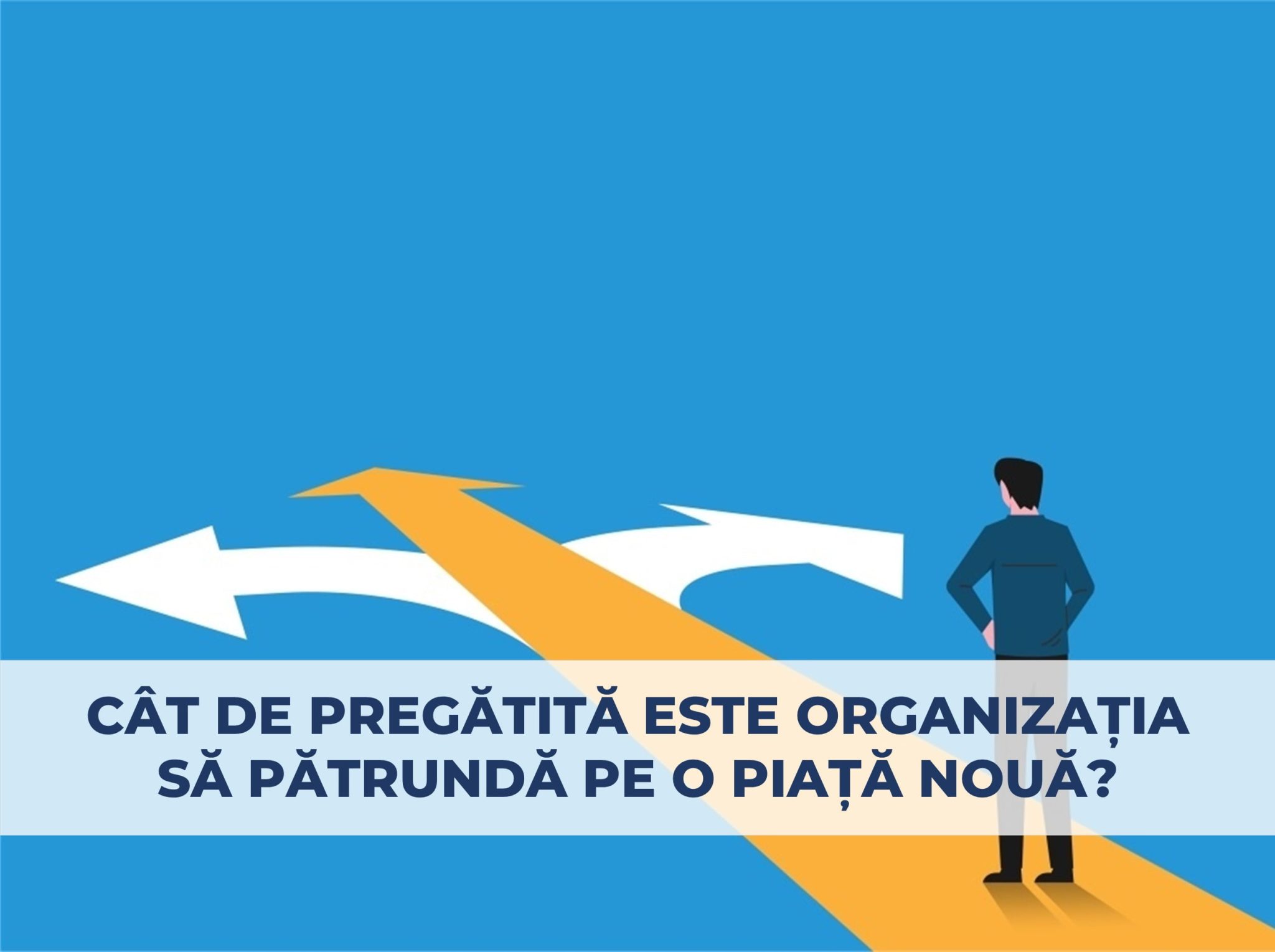 Evaluarea unei strategii de intrare pe piata Chestionar gratuit