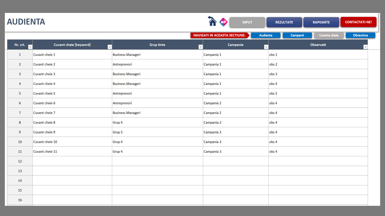 Managementul Google Ads - imagine 3