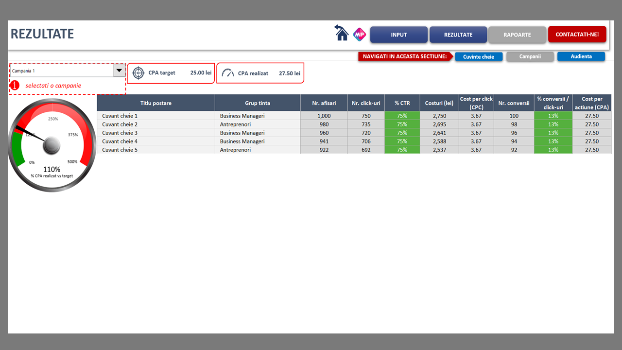Managementul Google Ads - imagine 7