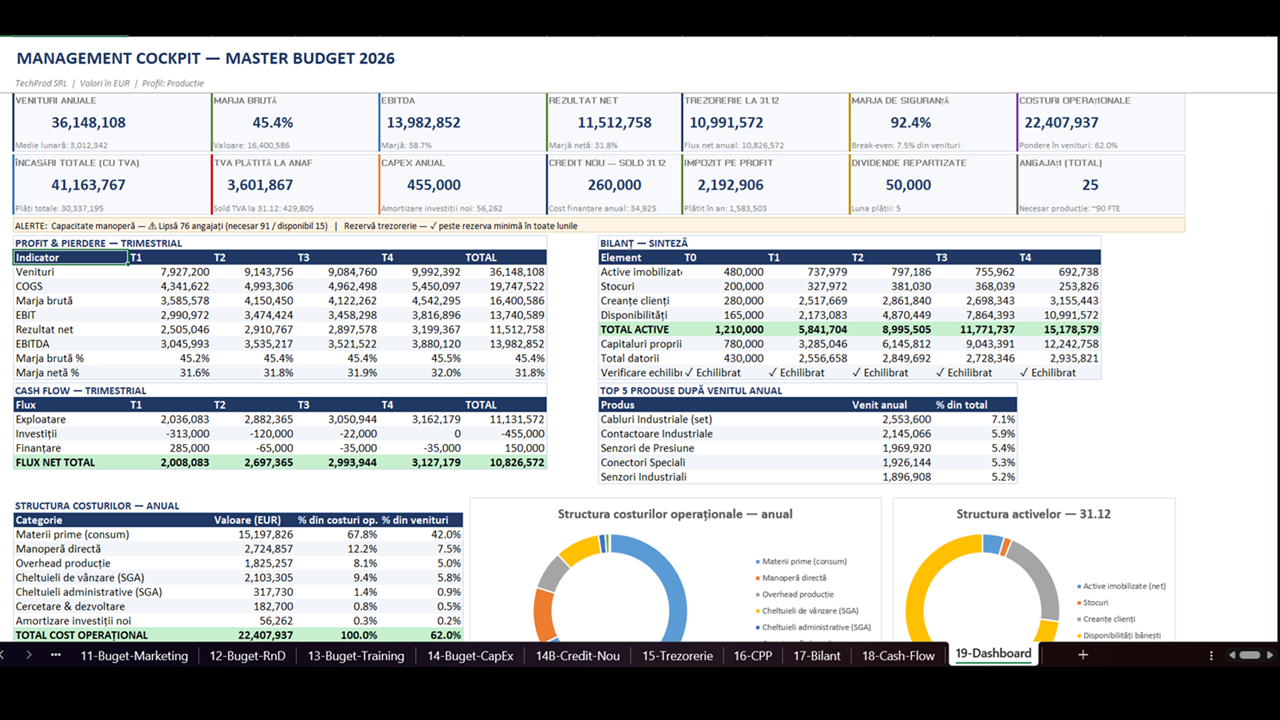 Master Budget & Control Financiar (activitate de productie) - imagine 12