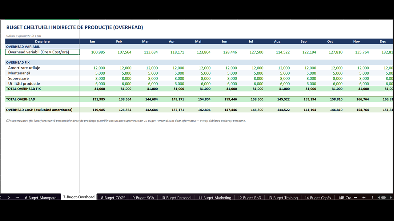 Master Budget & Control Financiar (activitate de productie) - imagine 7