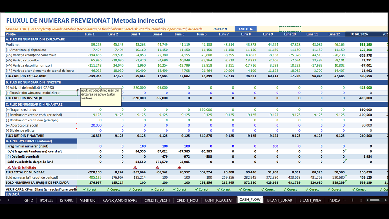 Plan de Afaceri - Model Financiar Integrat - imagine 11