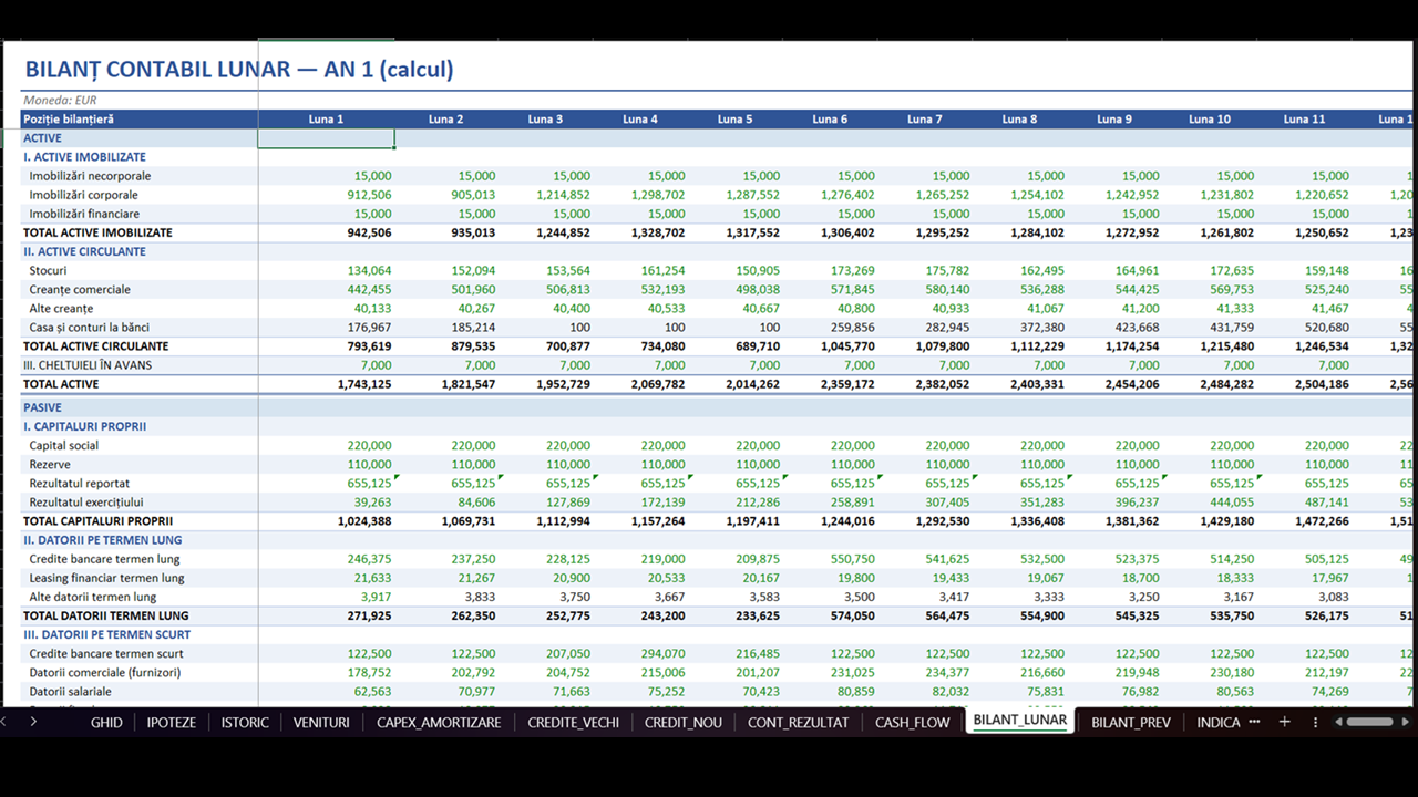 Plan de Afaceri - Model Financiar Integrat - imagine 12