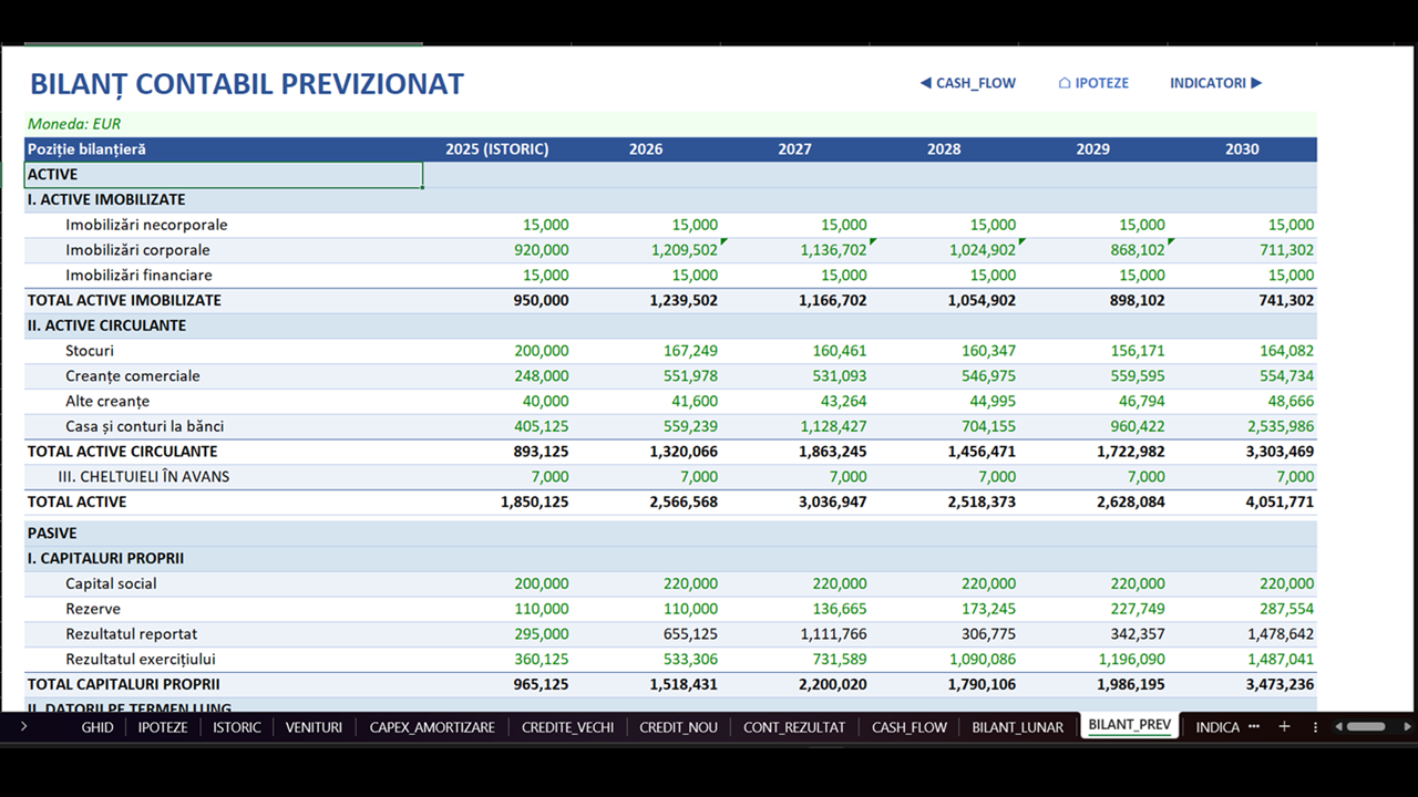 Plan de Afaceri - Model Financiar Integrat - imagine 13