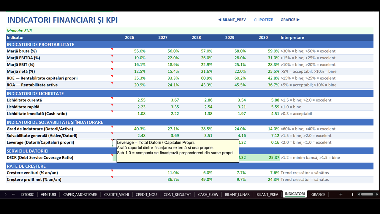 Plan de Afaceri - Model Financiar Integrat - imagine 14