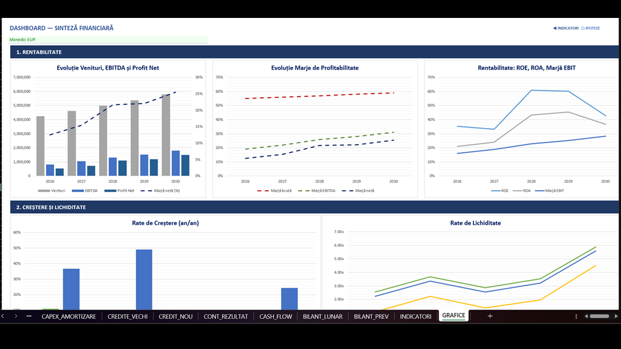 Plan de Afaceri - Model Financiar Integrat - imagine 15