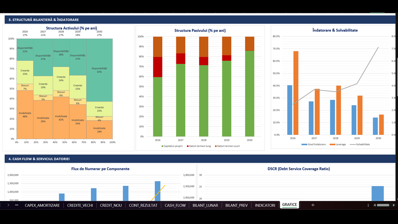 Plan de Afaceri - Model Financiar Integrat - imagine 16