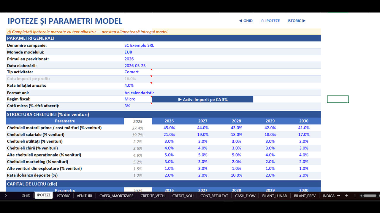 Plan de Afaceri - Model Financiar Integrat - imagine 3