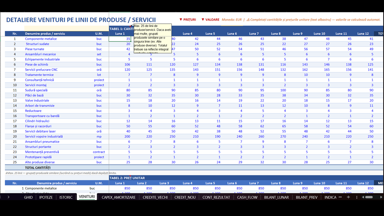 Plan de Afaceri - Model Financiar Integrat - imagine 5