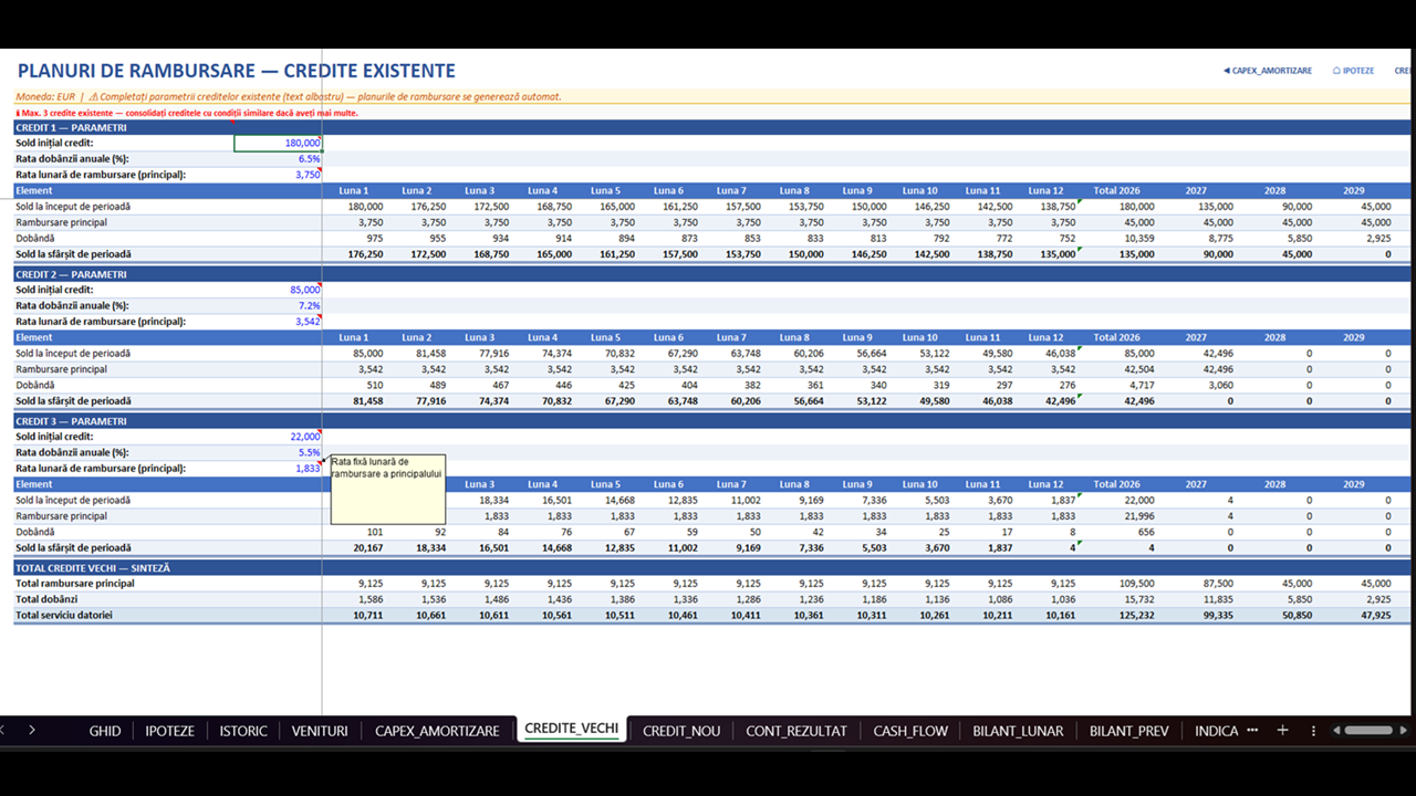 Plan de Afaceri - Model Financiar Integrat - imagine 8