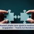 Ce trebuie să conțină o prezentare de companie? – Model prezentare powerpoint