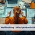 Managementul firmelor de avocatură în perioadele de criză